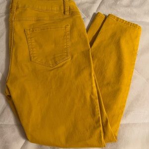 ARTISAN NY Cropped pants